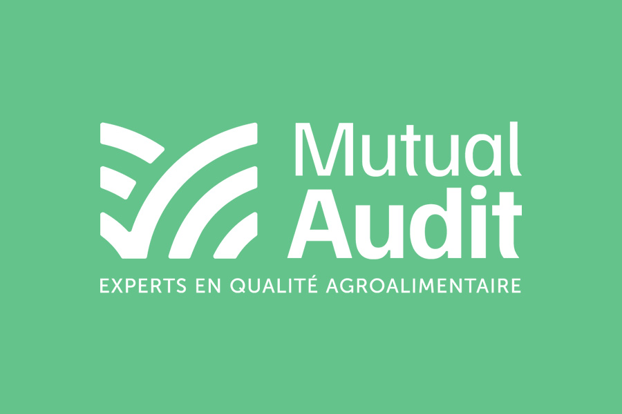 logo mutual audit