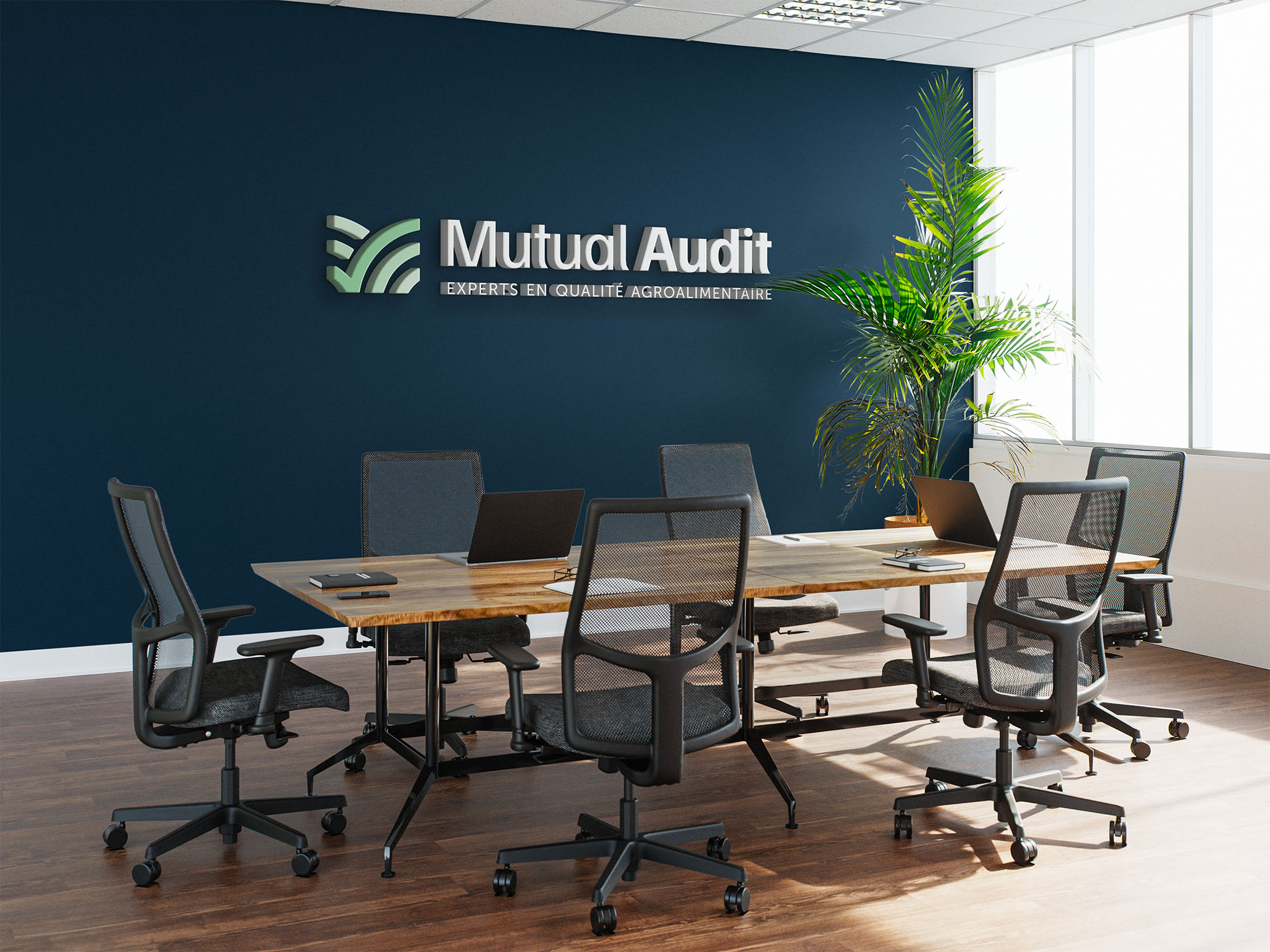 enseigne mutual audit