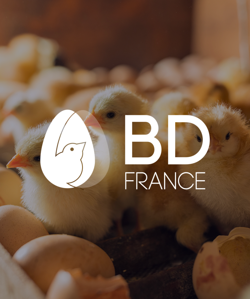 BD France